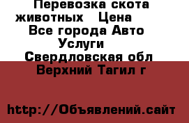 Перевозка скота животных › Цена ­ 39 - Все города Авто » Услуги   . Свердловская обл.,Верхний Тагил г.